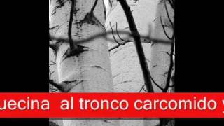 Antonio Machado - A un olmo seco, por Aitor