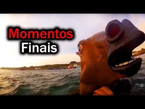 Youtubers Who Recorded Their Final Moments