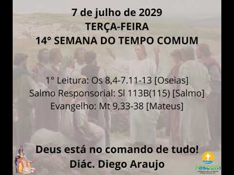 Reflexão da liturgia diária - 07/07/2020