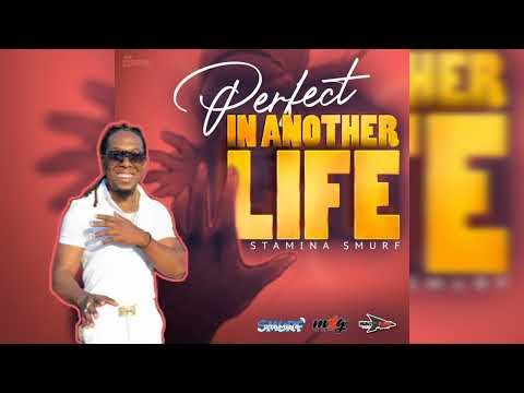 Stamina Smurf - Perfect In Another Life (Official Audio) Vincy Soca 2023