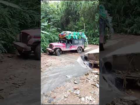 Qué tal abordó este punto de este conductor en Argelia Valle