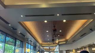 Casablanca New Orleans Ceiling Fans in a Tim Hortons- Niagara Falls, Ontario