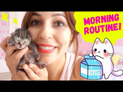 KITTEN MORNING ROUTINE!