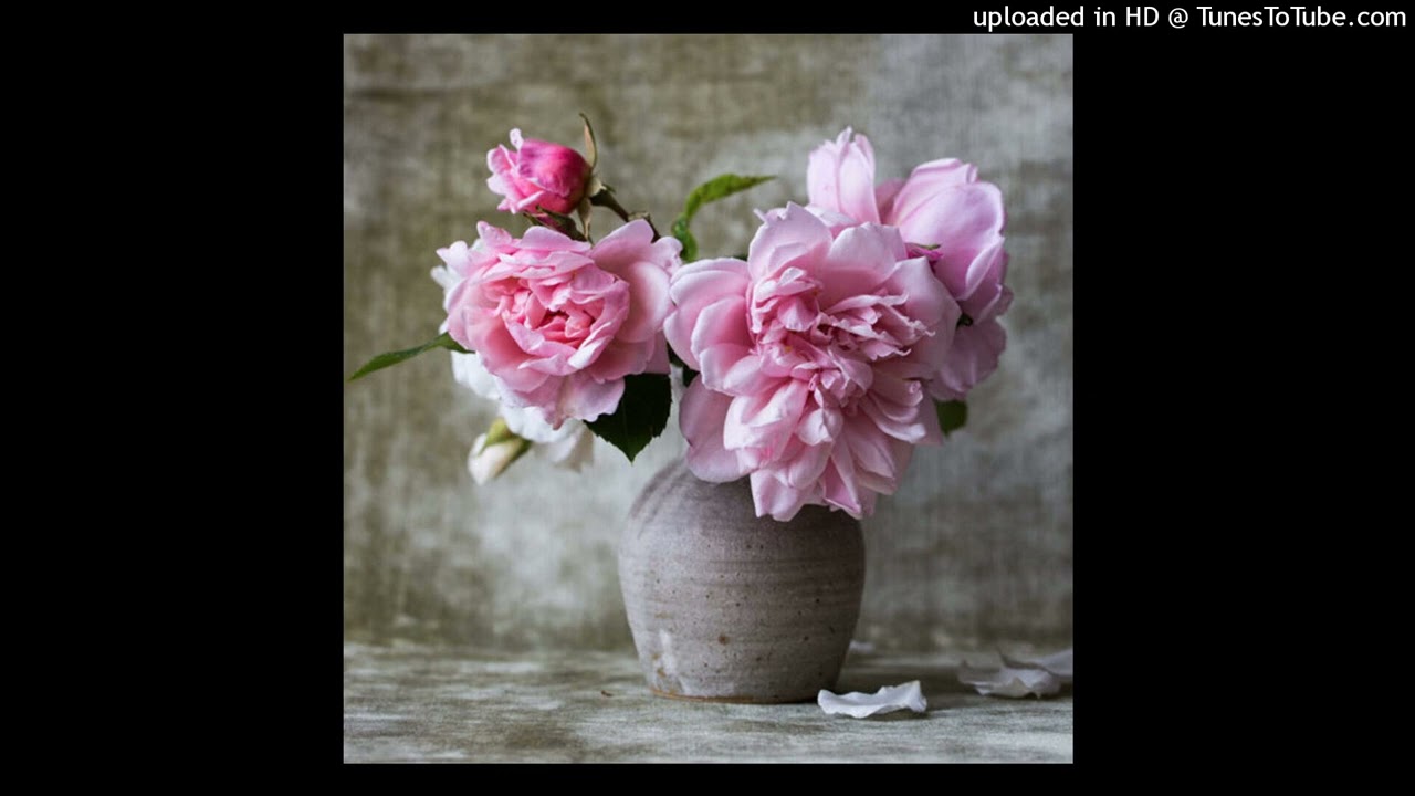 project 2 workbook 1.26