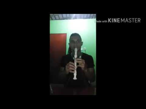 Música "Paradinha"- (Anita)