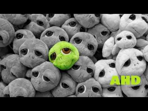 Minimal & Tech House Set