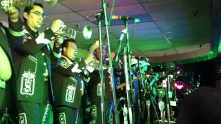 PERDI TU CARINO-LABERINTO