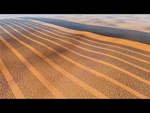 10 LINES OF ARCHERS vs 500.000 MONGOLIAN SOLDIERS - Ultimate Epic Battle Simulator 2 UEBS 2