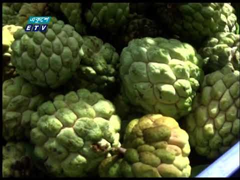 মেহেরপুরে শরিফা ফল চাষে দারুণ সফলতা