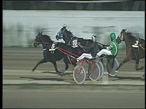 Trotto 14/10/2016 - 8ª corsa