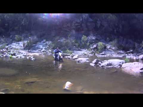 netto crossing the wog wog river, drz400 stalling in water.