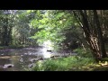 The Lord's My Shepherd - Stuart Townend 