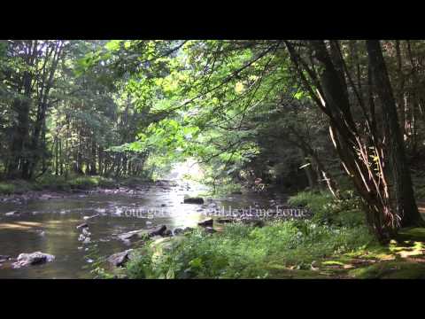 The Lord’s my shepherd, I’ll not want - Stuart Townend | Chords