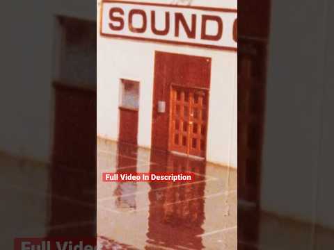 Thumbnail for Dave Grohl & The Death Of SOUND CITY #nirvana #kurtcobain #grunge #90s #alternative #music #rock by Evanescence, Dave Grohl, Jerry Cantrell, Kurt Cobain, Songwriter, Nirvana