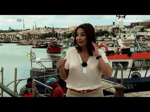 Visita Guiada ao Infante D. Henrique e à Fortaleza de Sagres - Portugal (480p)