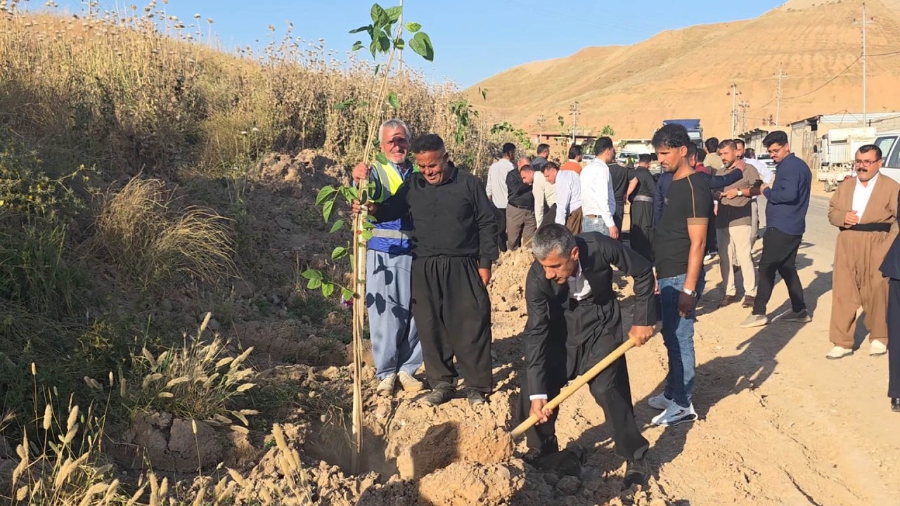 ڤیدیۆ | بەبۆنەی ساڵیادی یەكێتیەوە هەڵمەتێكی نەمام رواندن لە تەقتەق بەڕێوەچوو