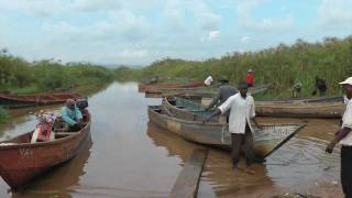 preview picture of video 'Uganda Part 12: Mabamba wetland next to Lake Victoria'