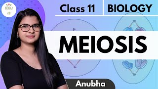 Class 11 || Meiosis || NCERT (HINDI)