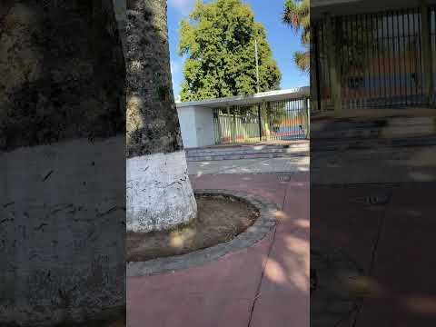 Plaza Dr. Domingo Montebruno Lautaro Araucania chile