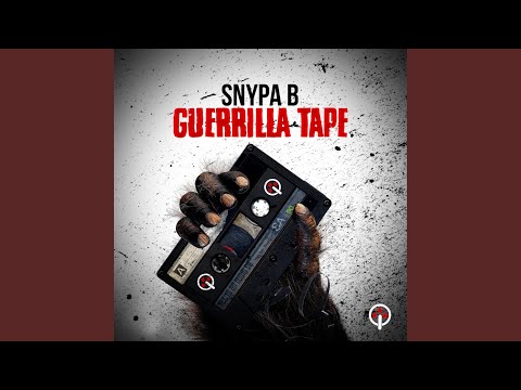 Illegal (feat. Mike Brown DA Czar & Trippa)