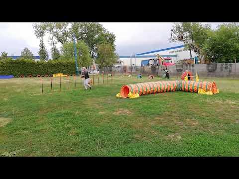 Agility Hoor Nazira Manwe - 12.7.2019