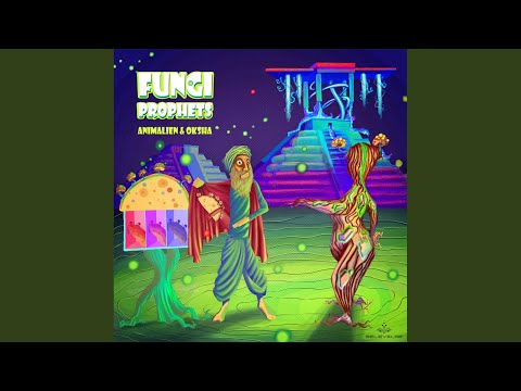 Fungi Prophets (Original Mix)