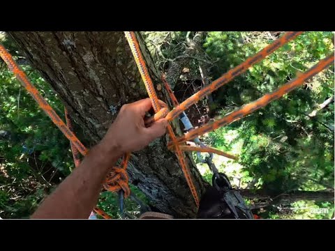 Old School Tree man ropes and rigging.