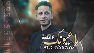 كلمات اغنية ماعيونك وليد محمد