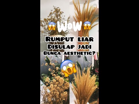 DARI RUMPUT LIAR DISULAP JADI BUNGA KERING AESTHETIC‼️