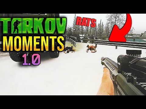 EFT WTF Moments | ESCAPE FROM TARKOV | Highlights & Clips Ep.457