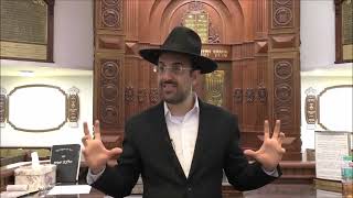 הרב מאיר אליהו ｜ יראת שמיים או לימוד תורה？ ｜ משכן יהודה (רבנים שונים) - התמונה מוצגת ישירות מתוך אתר האינטרנט יוטיוב. זכויות היוצרים בתמונה שייכות ליוצרה. קישור קרדיט למקור התוכן נמצא בתוך דף הסרטון