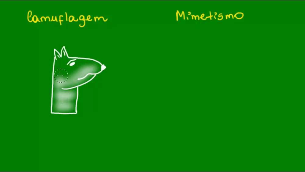 Evidências da Evolução - Adaptação - Evolução - Biologia