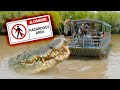 Giant Crocodile FOUND Could You Outswim Him