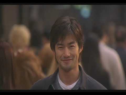 The Whole Nine Yards