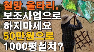 철망울타리? 1000평 50만원 설치가능하다? 해태망 고라니망 멧돼지망