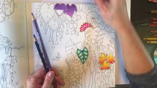 Tutoria 1 Johanna Basford Magical Jungle
