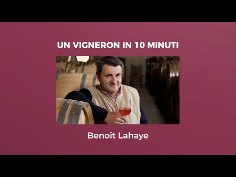 Un Vigneron in 10 minuti: Benoît Lahaye