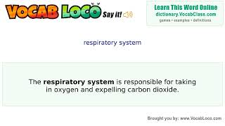 Video thumbnail for respiratory system