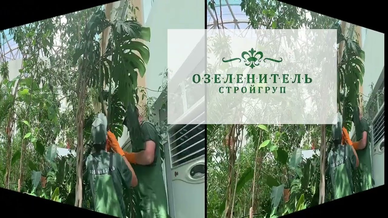 Постер видео