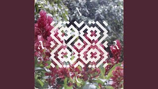 Colibria (Ninze &amp; Thomash Remix)