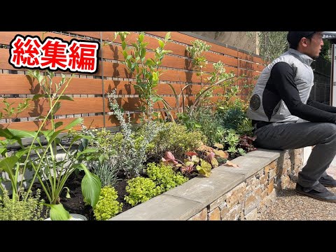 家の前の花壇 赤いベゴニア 観賞用低木 プランター ぶら下がっている花