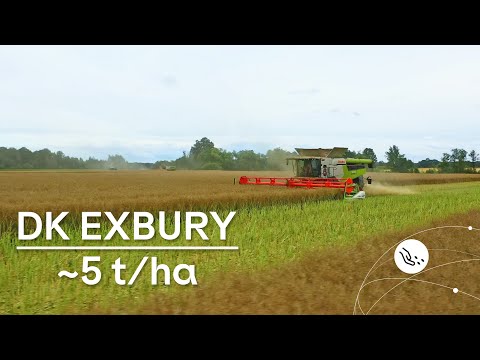 Pakalbėkime apie veisles | DK EXBURY | Kauno r.