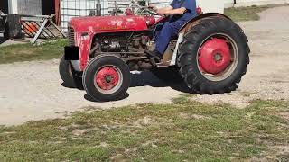 Tracteur à roues Massey Ferguson /MAS-HARRIS 35 à vendre - Image 4 | Agroline TD Tracteur à roues Massey Ferguson /MAS-HARRIS 35 | Image 4 - Agroline