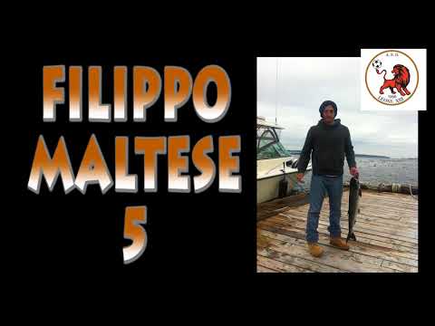 Highlights Leone XIII - Afforese (No Musica) - Giornata 01