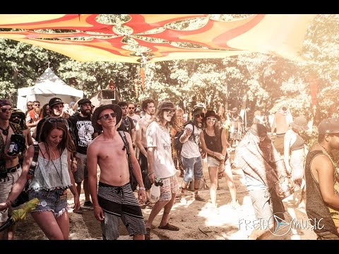 Sonic Bloom 2016 | Official Festival Recap by FreioMusic