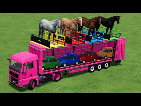 TRANSPORTING HORSES & FIAT MINI CARS WITH MAN TRUCK - Farming Simulator 22