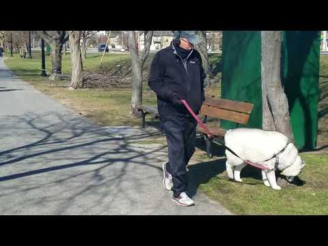 Good morning from Lowell MA USA