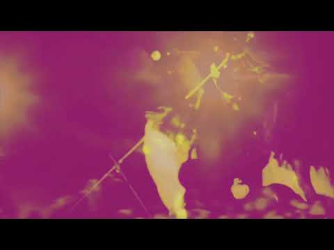 Melanie & Terry Reid - Mr. Tambourine Man (Official Music Video)