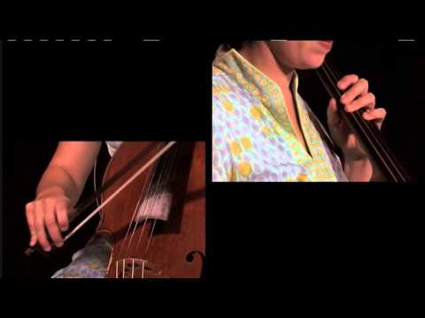 "Grooves, Rhythms and Accompaniment - Techniques for Celtic Cello"  by Natalie Haas