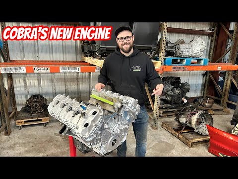 Building a 1000HP Coyote on a Budget - Gen 3 Short Block in a Gen 1 Coyote